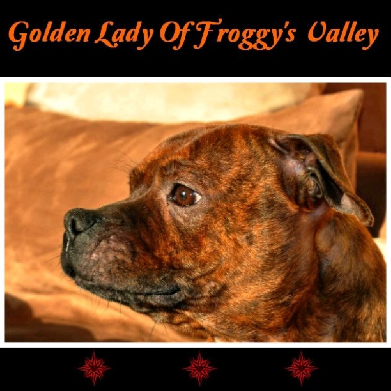 Golden lady of froggy's valley