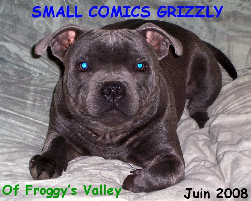 small comics Grizzly